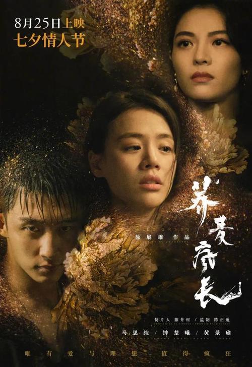 香港驾照换大陆驾照流程